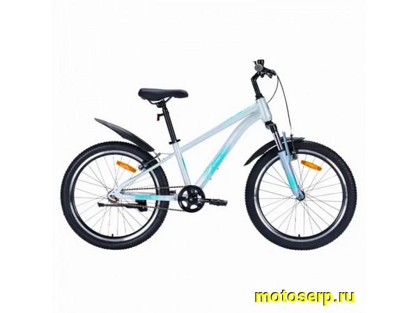 Купить  24" TECH TEAM CALIBRI серый (12") (Тач Тим Калтбри) 24"; 1ск; рама-сталь; тормоз-V-Brake (шт) (ART купить с доставкой по Москве и России, цена, технические характеристики, комплектация фото  - motoserp.ru