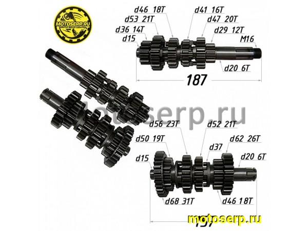 Купить  Коробка передач (вал ведом + вал ведущ) в сб. 174YMN (шт) (Regul 1120900150001 купить с доставкой по Москве и России, цена, технические характеристики, комплектация фото  - motoserp.ru