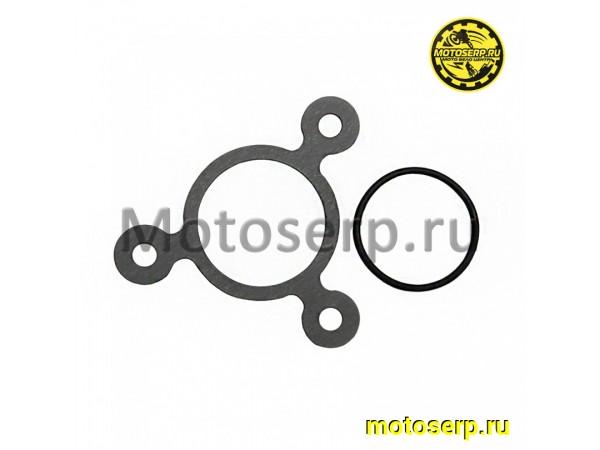 Купить  Прокладка крышки распредвала 174YMN, Regulmoto XADV (шт) (Regul 1140200150001, 1141500390004 купить с доставкой по Москве и России, цена, технические характеристики, комплектация фото  - motoserp.ru