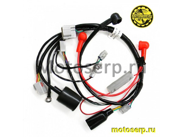 Купить  Проводка главная KAYO MINI YX125 (2022) (шт) (SM 290-4093 купить с доставкой по Москве и России, цена, технические характеристики, комплектация фото  - motoserp.ru