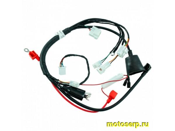 Купить  Проводка главная KAYO MINI YX125 (2022) (шт) (SM 290-4093 купить с доставкой по Москве и России, цена, технические характеристики, комплектация фото  - motoserp.ru