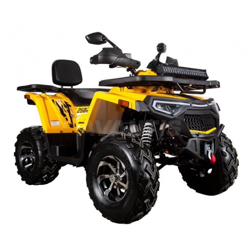 Купить  250cc Комплект запчастей для сборки AVANTIS H250 BIG NEW Premium (баланс. вал) ", для база, эл/ручн стар (шт) ( купить с доставкой по Москве и России, цена, технические характеристики, комплектация фото  - motoserp.ru