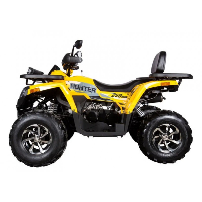 Купить  250cc Комплект запчастей для сборки AVANTIS H250 BIG NEW Premium (баланс. вал) ", для база, эл/ручн стар (шт) ( купить с доставкой по Москве и России, цена, технические характеристики, комплектация фото  - motoserp.ru