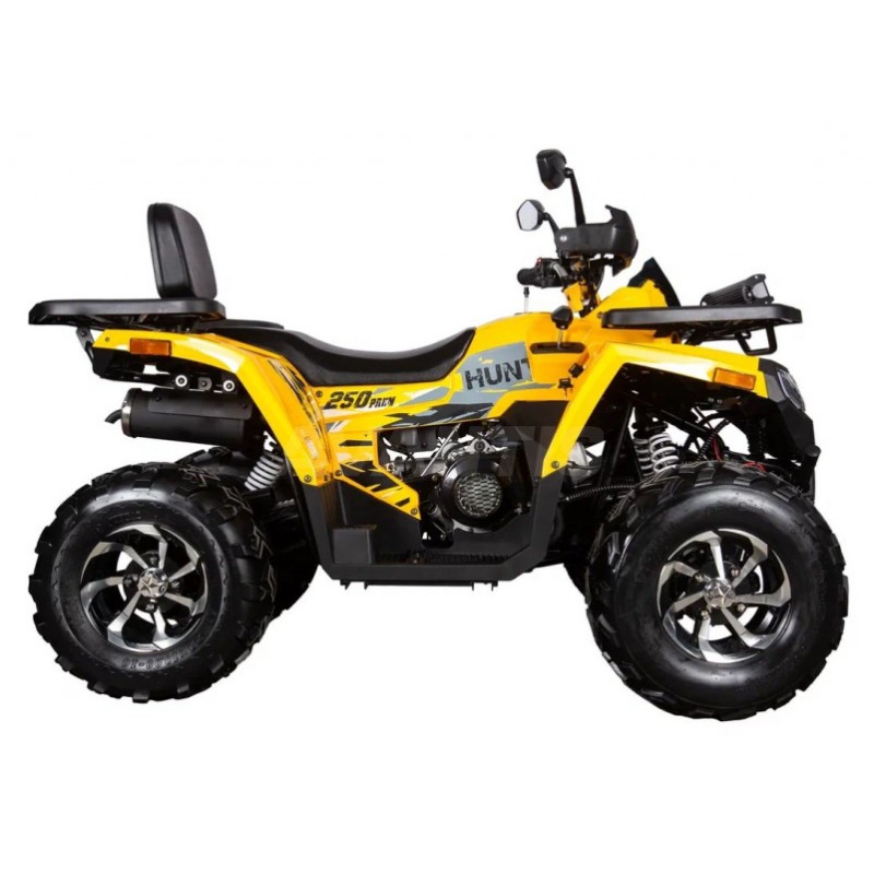 Купить  250cc Комплект запчастей для сборки AVANTIS H250 BIG NEW Premium (баланс. вал) ", для база, эл/ручн стар (шт) ( купить с доставкой по Москве и России, цена, технические характеристики, комплектация фото  - motoserp.ru