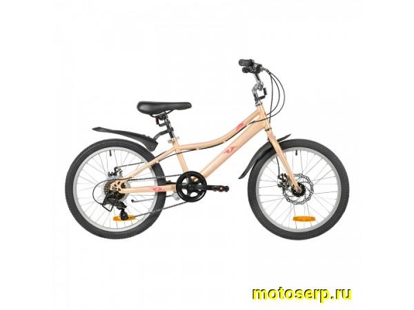 Купить  20" скоростной FOXX JASMINE бежевый (11") (фокс жасмин) 20"; 6ск; рама-сталь; тормоз-Disk (шт) (ART купить с доставкой по Москве и России, цена, технические характеристики, комплектация фото  - motoserp.ru