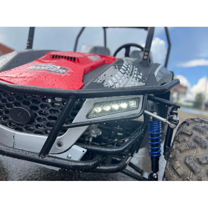 Купить  250cc Багги TEZZA RANGER CVT 250 (комплект запчастей для сборки) Вариатор, 250сс (шт) (Естай купить с доставкой по Москве и России, цена, технические характеристики, комплектация фото  - motoserp.ru