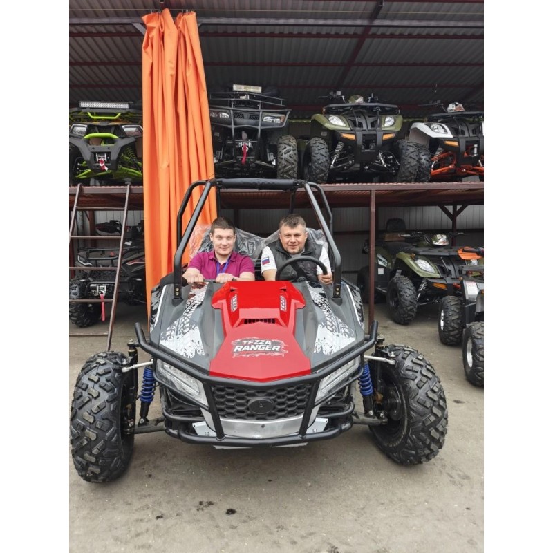 Купить  250cc Багги TEZZA RANGER CVT 250 (комплект запчастей для сборки) Вариатор, 250сс (шт) (Естай купить с доставкой по Москве и России, цена, технические характеристики, комплектация фото  - motoserp.ru
