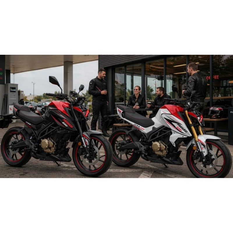 Купить  Мотоцикл PROGASI FLEX 250 (ЭПТС) JYZM250 (172FMM-S, 4 клапанный) (шт)  купить с доставкой по Москве и России, цена, технические характеристики, комплектация фото  - motoserp.ru