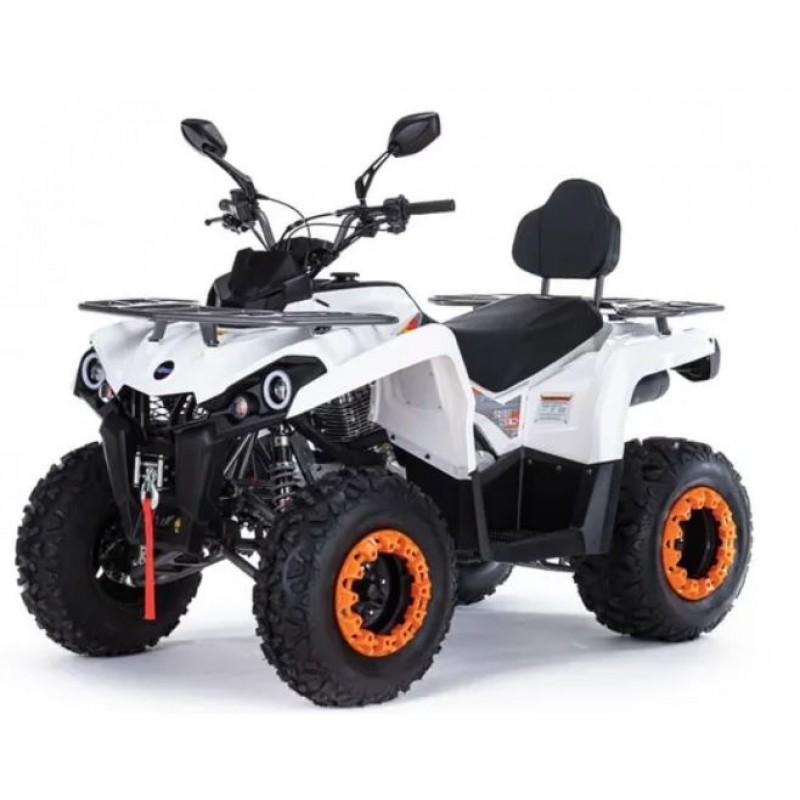Купить  200cc Комплект запчастей для сборки MOTAX Grizlik 200 Ultra, двигатель Loncin (шт)  купить с доставкой по Москве и России, цена, технические характеристики, комплектация фото  - motoserp.ru