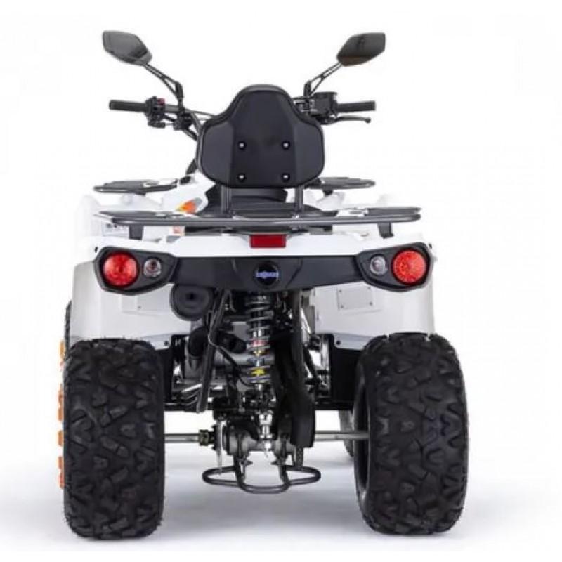 Купить  200cc Комплект запчастей для сборки MOTAX Grizlik 200 Ultra, двигатель Loncin (шт)  купить с доставкой по Москве и России, цена, технические характеристики, комплектация фото  - motoserp.ru