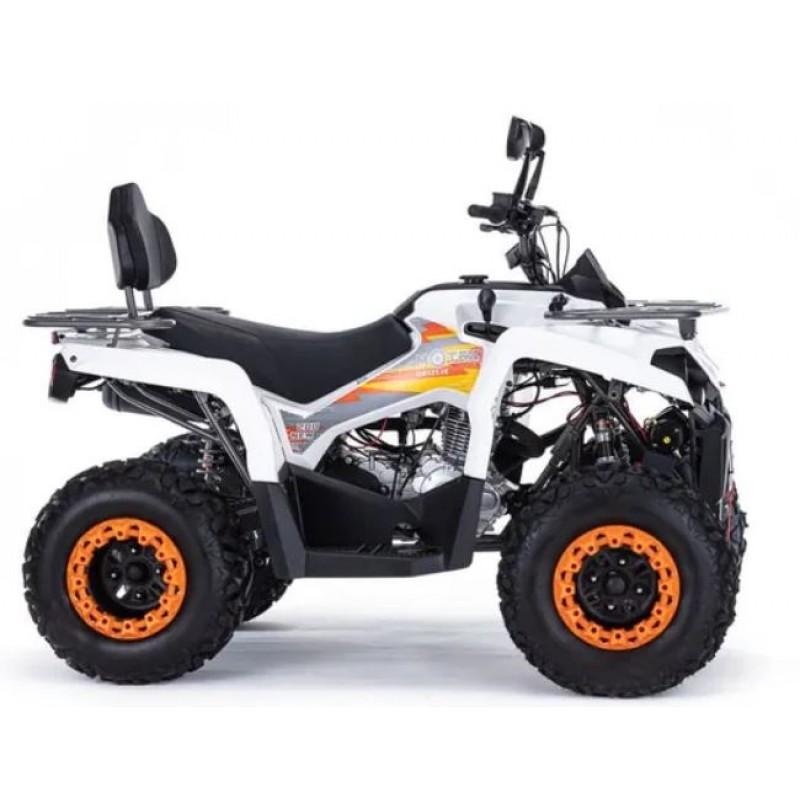 Купить  200cc Комплект запчастей для сборки MOTAX Grizlik 200 Ultra, двигатель Loncin (шт)  купить с доставкой по Москве и России, цена, технические характеристики, комплектация фото  - motoserp.ru