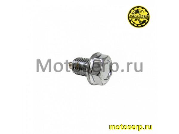 Купить  Болт (винт) сливной (пробка, крышка мас фильтра) M12х1,5x15мм с магнитом GRIZLIK T200 (шт) (MOTAX купить с доставкой по Москве и России, цена, технические характеристики, комплектация фото  - motoserp.ru