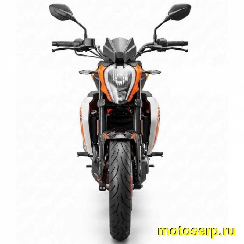 Купить  Мотоцикл  Motoland WASP 300(4T PR300) 17/17" 172FMM-5 PR300 (шт) (ML26635 купить с доставкой по Москве и России, цена, технические характеристики, комплектация фото  - motoserp.ru